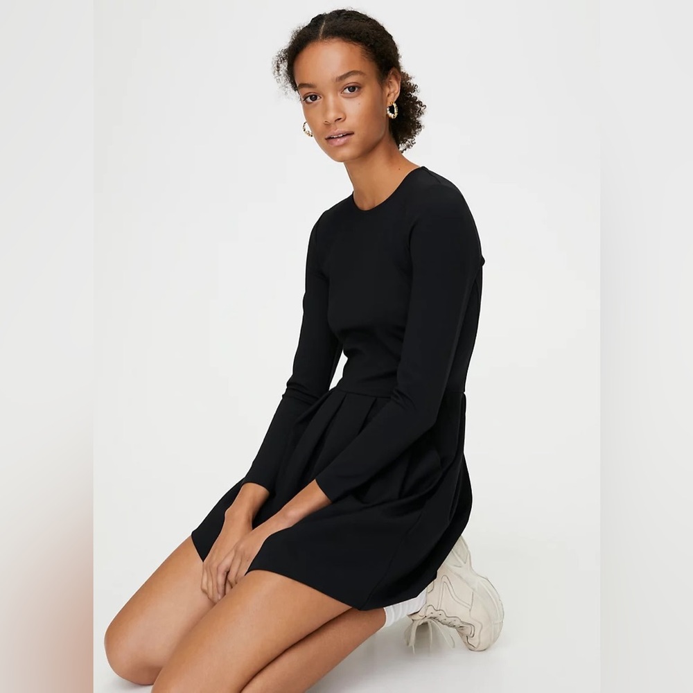 Aritzia Sunday Best Flare skater sweater dress
